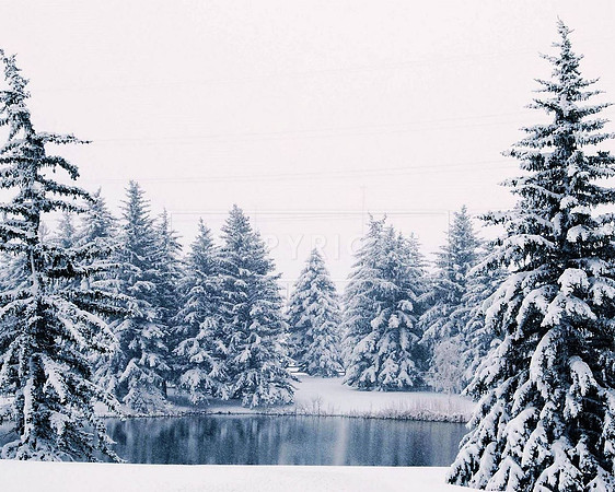5-2010-Cheynne - pond snow 8x10