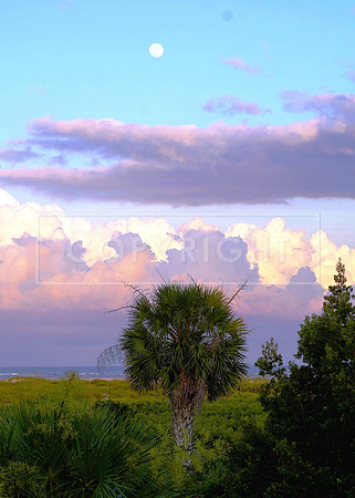 DSC00569-vert